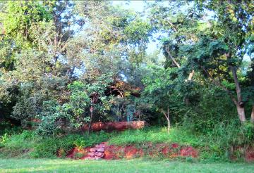 The Bedded Tent entrance